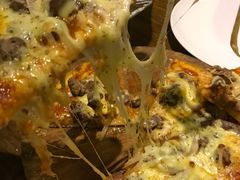 -百好乐宠物友好餐厅(朝外大街店)