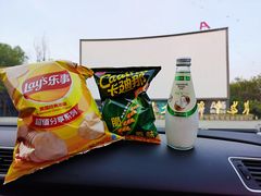 -枫花园汽车电影院(朝阳公园店)