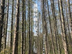 -同里国家湿地公园