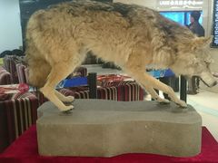 android_upload_pic-UME影城(安贞DTS:X店)