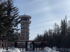 -峡谷浮石林景区