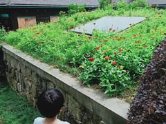 -梦娜斯庄园