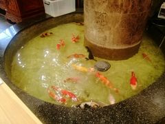 -古莲·影院足道·按摩SPA(水上温泉店)