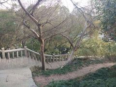-乌山风景区