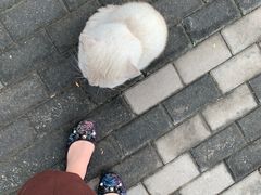 -稻香湖公园