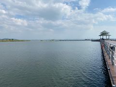 -苏州太湖国家湿地公园