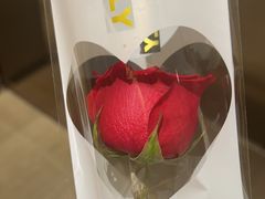 -江苏省无锡连元街小学