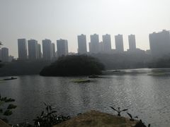 -重庆彩云湖湿地公园
