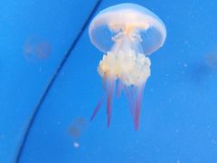 -常州海昌海洋探索馆