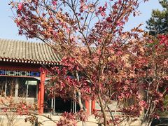 -北京鲁迅博物馆(北京新文化运动纪念馆鲁博馆区)