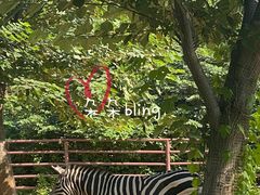 -济南野生动物世界