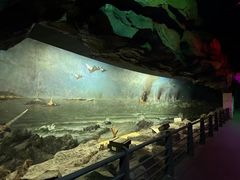 -威海华夏城景区