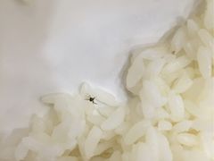 -寻词记(中山中路店)