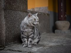-龙华寺