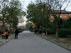 -西安青龙寺遗址景区