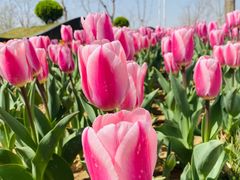 -廊坊文化艺术中心