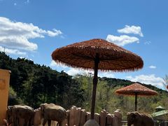-沈阳森林动物园