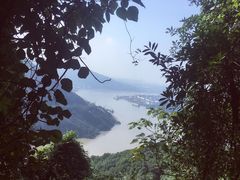 -铁山坪森林公园