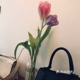 不懂咖啡不适合来这里