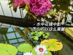 -国家植物园