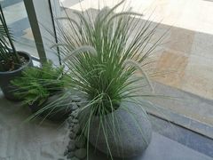 -风甜日暖·星座主题甜点(东二环泰禾店)