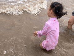 -奉贤海滩