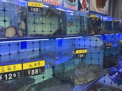 -日照大牌檔•小船海鲜(万平口店)