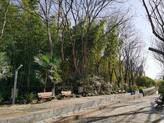 -苏州河梦清园环保主题公园