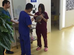 -芭比堂动物医院·犬猫全科·异宠专科(雁塔分院)