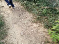 -宝界山林公园
