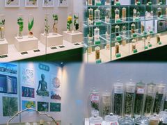 -广东中医药博物馆