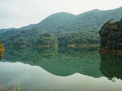 -广州市石门国家森林公园