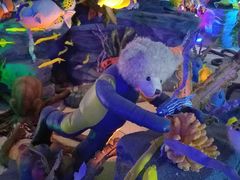 -成都泰迪熊博物馆