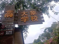 -野象谷景区