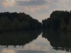 -洛阳市隋唐城遗址植物园