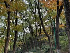 -宁波市保国寺古建筑博物馆