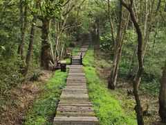 -游子山休闲旅游区