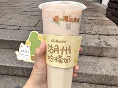 -猫的魔法密林(衣裳街店)