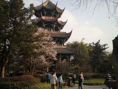 -望江楼公园