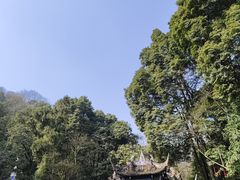 -青城山