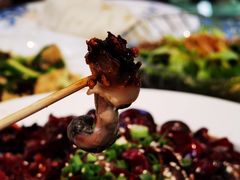 -陶然居·重庆菜(生态园店)