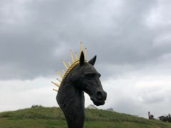 -白鹭湾湿地公园