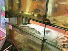 水产区-金生美食(贵州路店)
