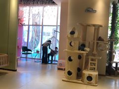 -藏猫猫咖啡主题馆(中央大道店)