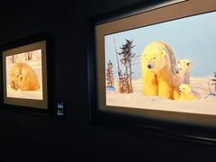 -罗红摄影艺术馆