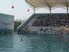 -北戴河圣蓝海洋公园