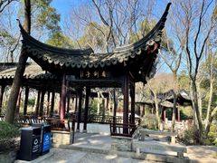 -上海佘山国家森林公园天马山园