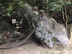 -杭州西湖风景名胜区-三生石