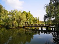 -溱湖国家湿地公园