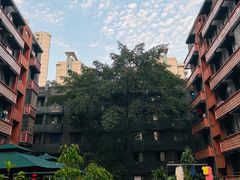 -丁阿纸面馆